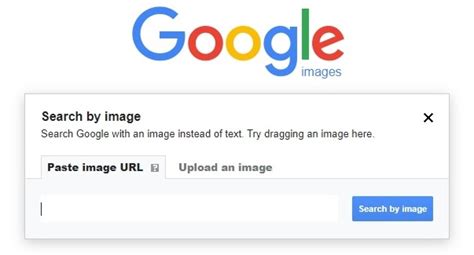 images.google.com reverse image|Reverse Image Search: Everything You Need To .